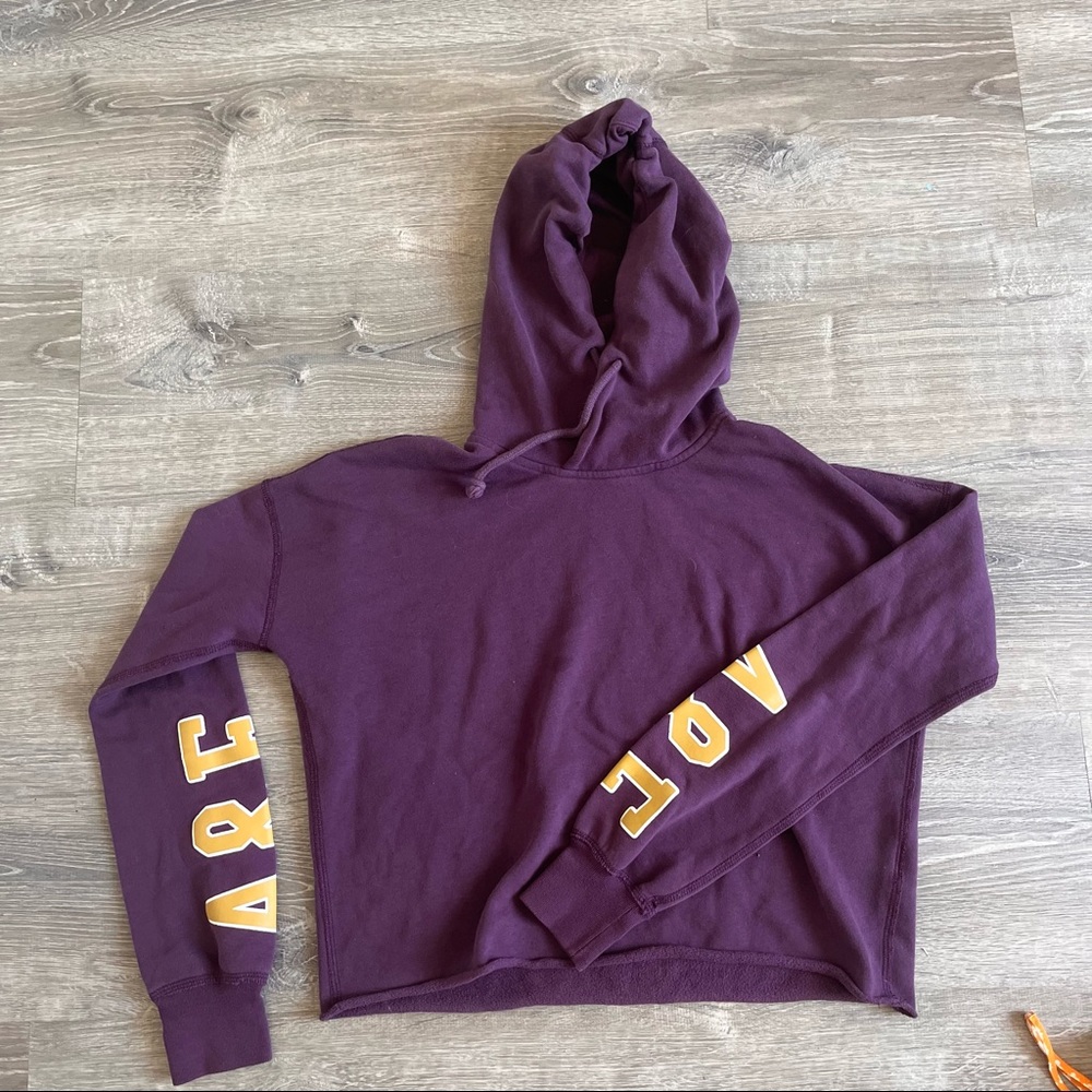 Abercrombie and Fitch cropped drawstring hoodie